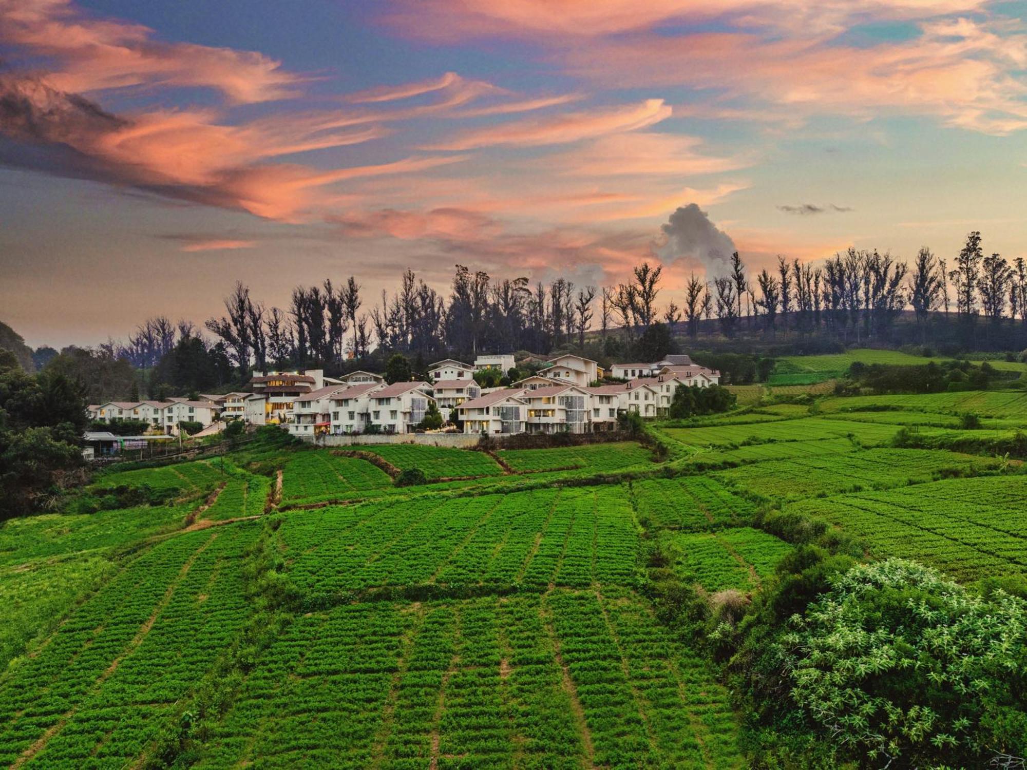 فندق Mango Hill Shola أوتي المظهر الخارجي الصورة